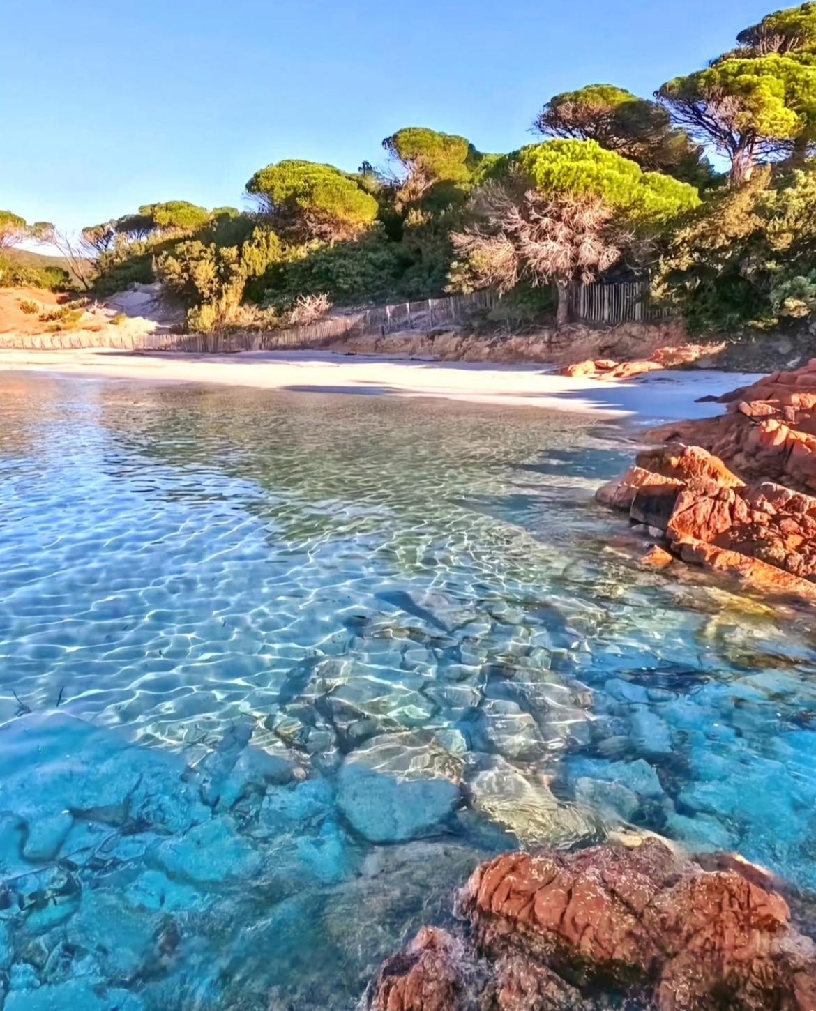 Villa Le Corail Rouge Corse Lecci Exterior foto